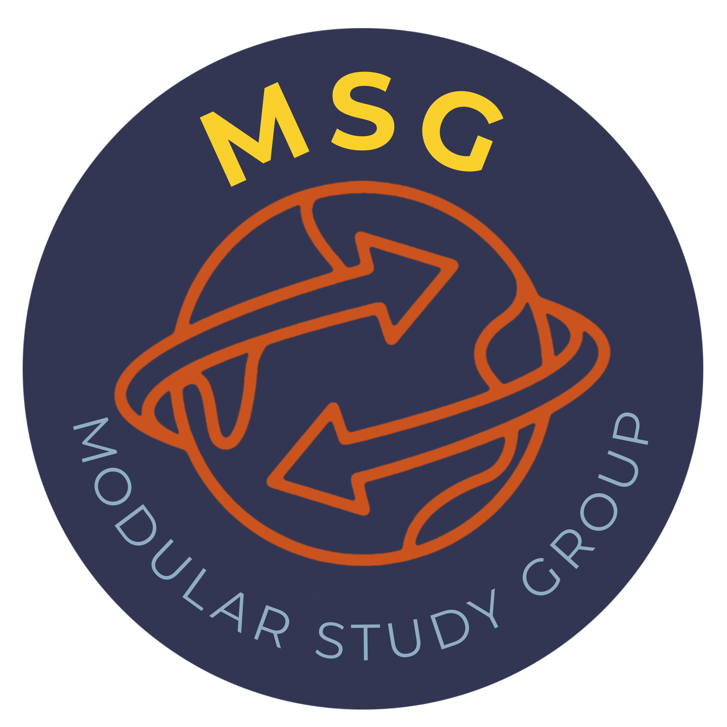 MSG-VNS